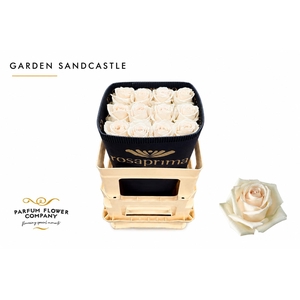 Rosa Garden Sandcastle
