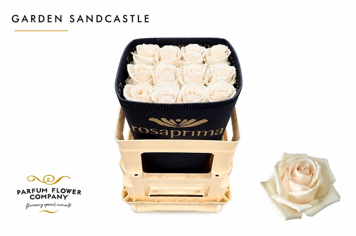 <h4>Rosa Garden Sandcastle</h4>