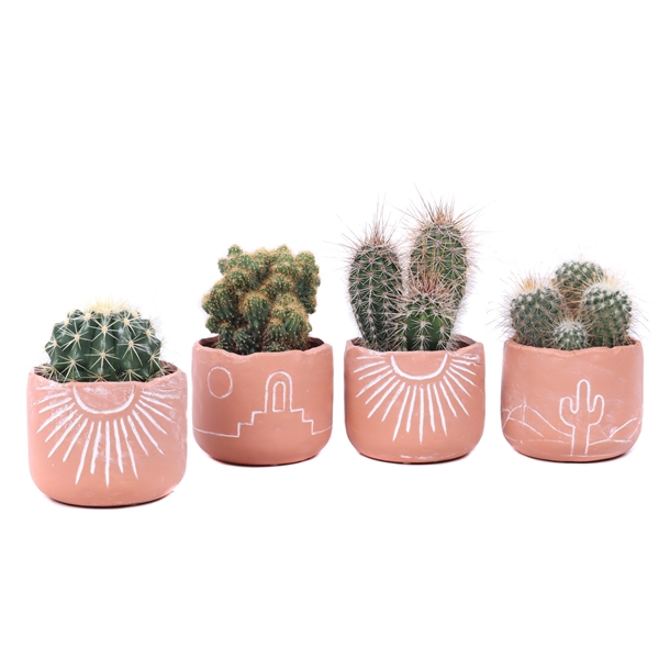 <h4>Cactus 10,5 cm in Merzouga keramiek</h4>