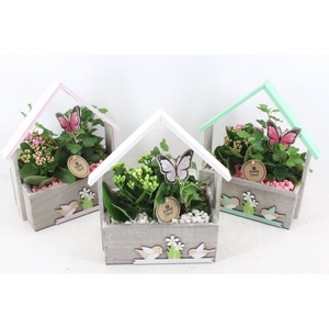 arr2 PL - Hout huis - roze/wit