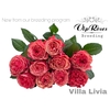 R GR OV VIP NEW VILLA LIVIA