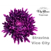 CHR G STRAVINA VICE CITY