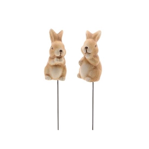 Pick Bunny 2Ass L4W4H8