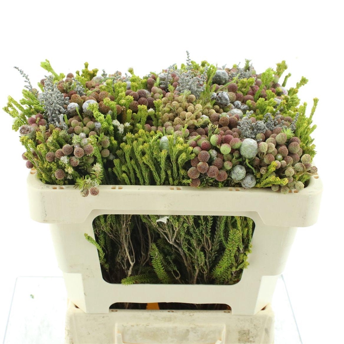 Kaaps Bouquet Mandarin Mix