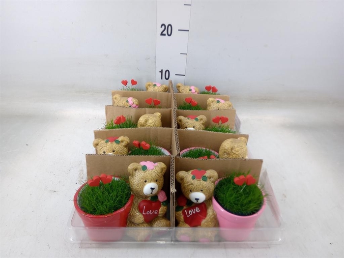 <h4>Planten Groen   ...L%</h4>