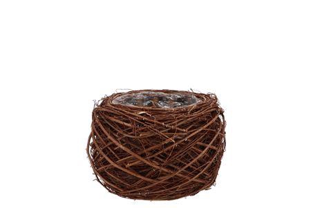 <h4>Nature Planter Elm Branch Brown 11x8cm</h4>