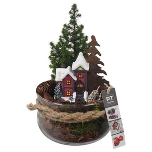 Opm Pt PTCWW6822 Winter Glas Schaal