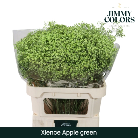 <h4>Gyps Xlence L80 Apple Green</h4>