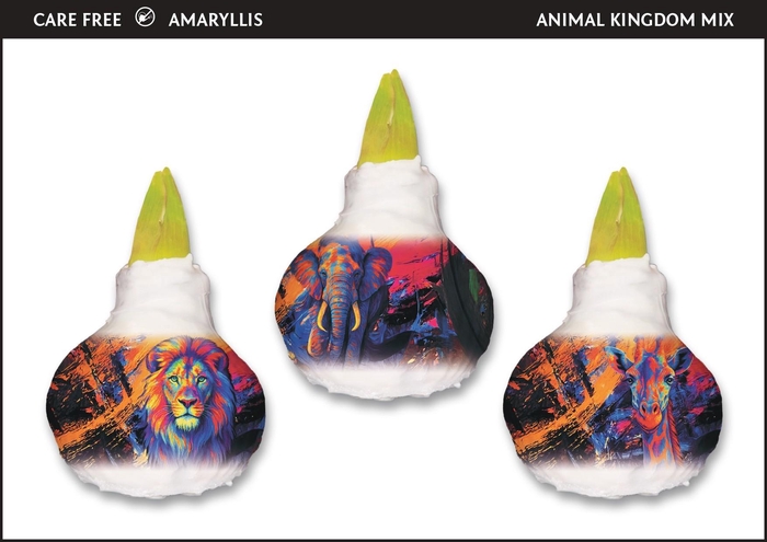 <h4>A.BULB of Art - 36cm Animal Kingdom Mix</h4>