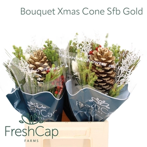 Bouquet Xmas Cone Sfb Gold