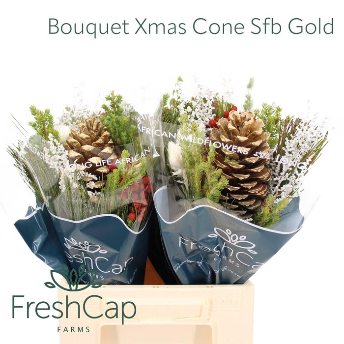 <h4>Bouquet Xmas Cone Sfb Gold</h4>
