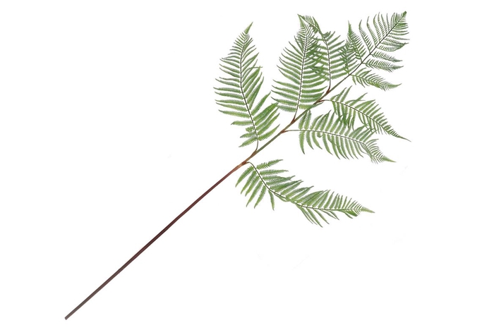 <h4>Silk Fern Polystichum Green 138cm</h4>