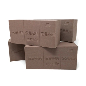 BLOK BIO 20
