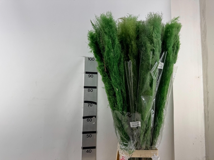 <h4>HUIS EN TUINDECO H%</h4>