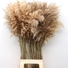 Corta Dried Naturel