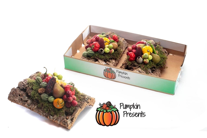 <h4>CUCURBITA PEPO</h4>