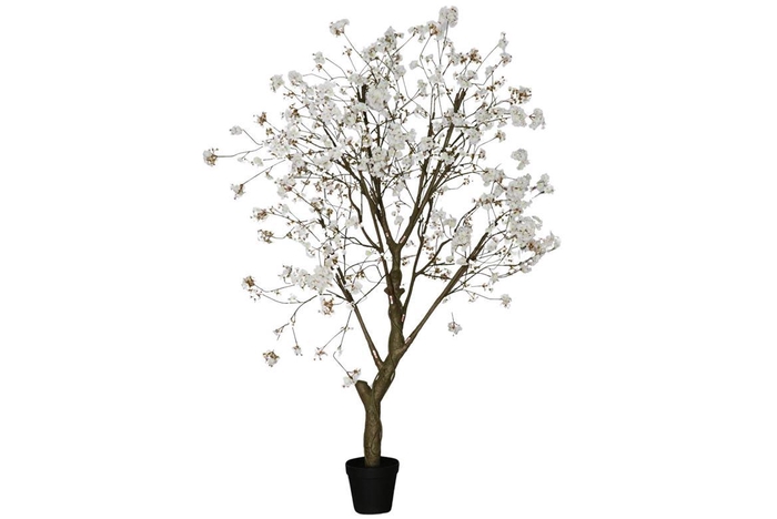 <h4>Silk Cherry Blossom Tree Light Pink 250cm</h4>