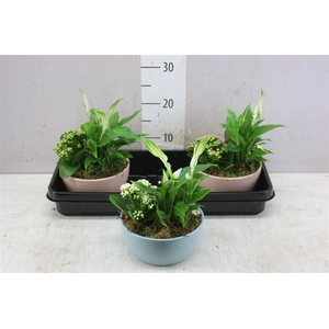 Arr 2649 Keramiek Spath Rond