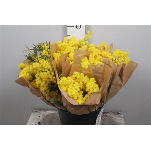 Acacia Mirandol Per Bunch 200 Gram
