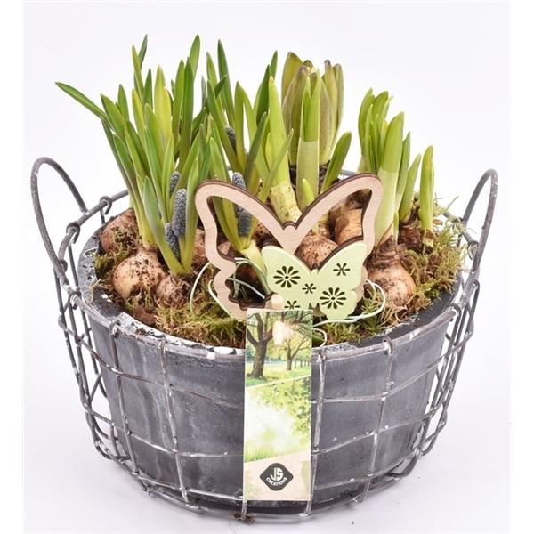 <h4>Gaasmand met cement schaal gy 21cm</h4>