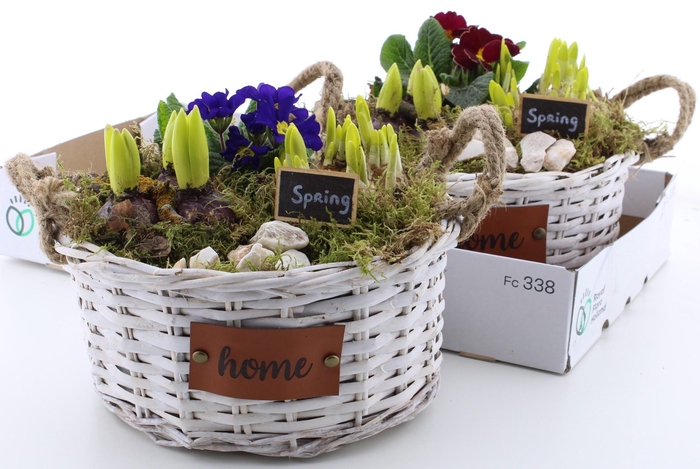 <h4>Arr Pl In Schaal</h4>