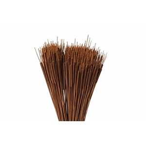 Dried Typha Oker 50pcs P Bunch