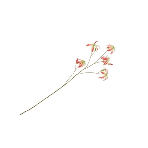 Silk Gloriosa Beauty 105cm