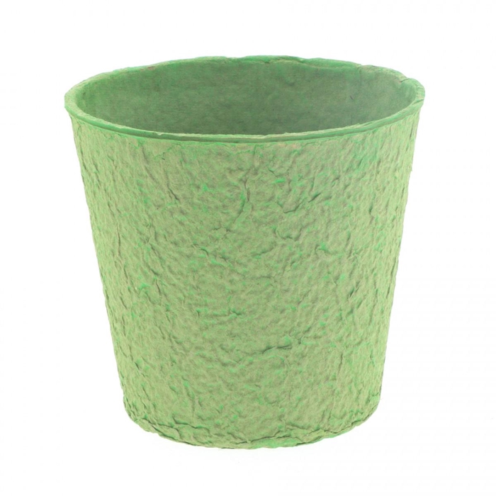 <h4>Pulp Carta d12*12cm</h4>