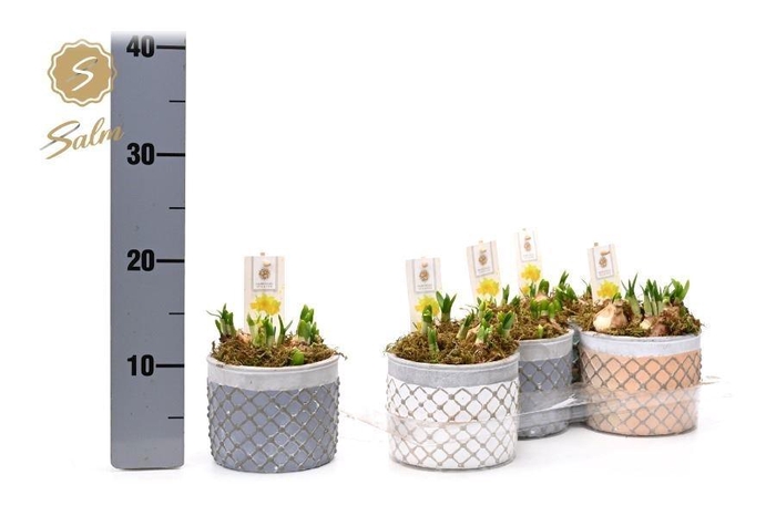 <h4>ARR N TETE A TETE H%</h4>