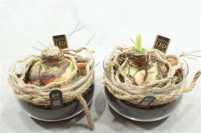 <h4>2907 XL AMAR BOSE+LED</h4>