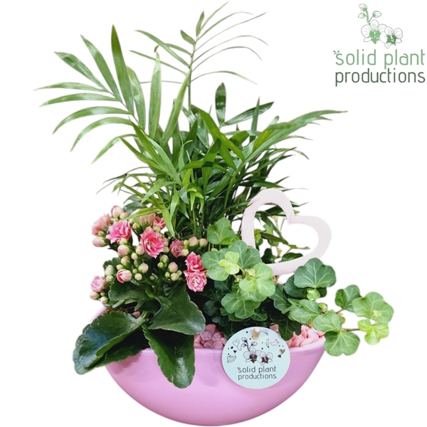 <h4>CH004 Evelyn Love Pink</h4>