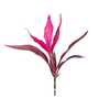 FOLHAGEM DRACENA BABY PINK PLUS