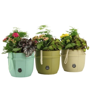 11611: Consideration arrangement