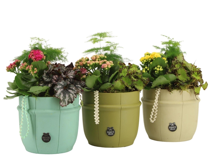 <h4>11611: Consideration arrangement</h4>