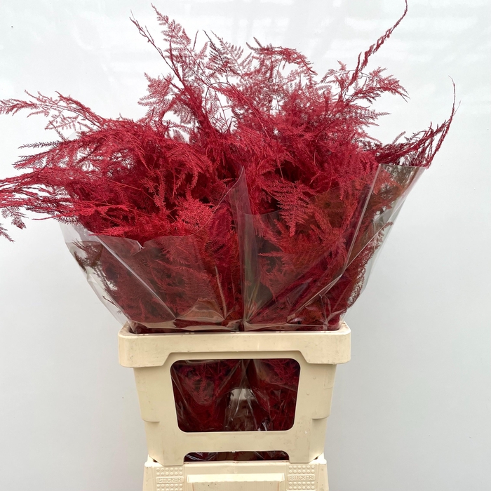 <h4>ASP OV KLB H%</h4>