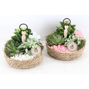 arr2 PL - Jute etagere - roze/wit