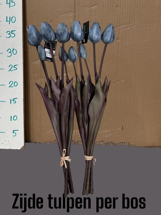 <h4>HUIS EN TUINDECO H%</h4>