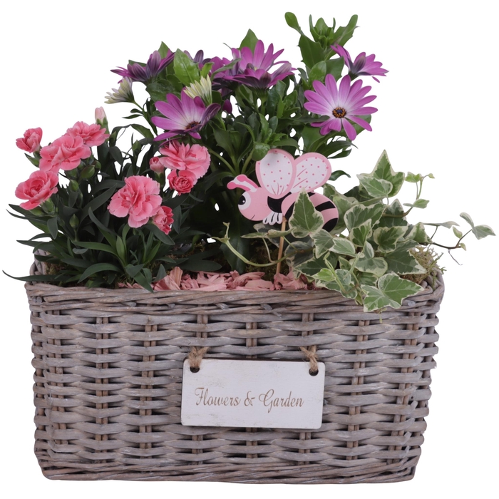 <h4>Spring Flower Arr. Outdoor Willow Basket Flowersign Ø30cm 3PP</h4>