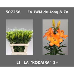 LI LA KODAIRA