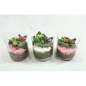 6150 CILINDER 15X15 INDOOR