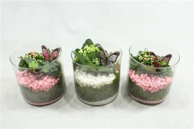 <h4>6150 CILINDER 15X15 INDOOR</h4>