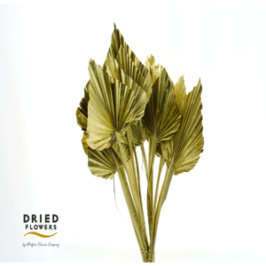 Dried Palm Spear Small Gold
