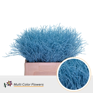 Heidelbeer Blauw licht