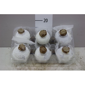 Hippeastrum Wax Snow White