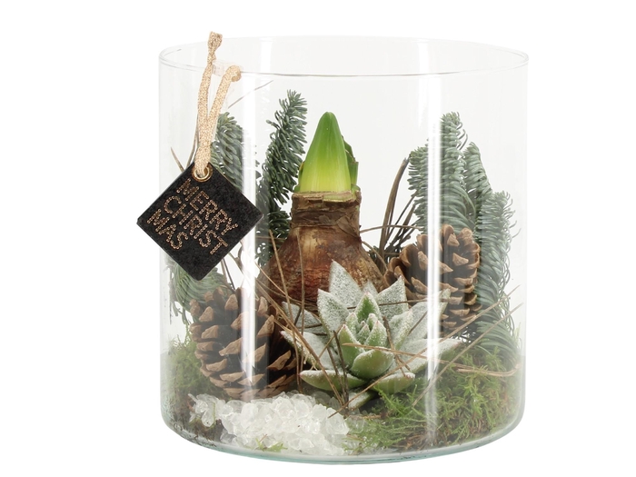 <h4>61709: X-mas arrangement</h4>