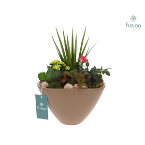 Pot keramiek Ovaal Large beige met Arrangement