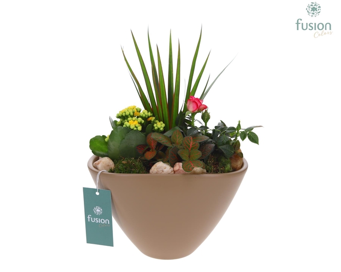 <h4>Pot keramiek Ovaal Large beige met Arrangement</h4>