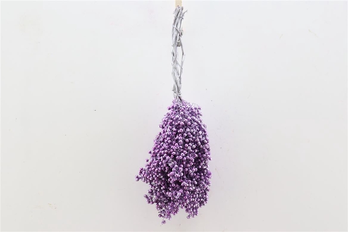 <h4>Schinus M Pt Metalic Pink Bunch</h4>