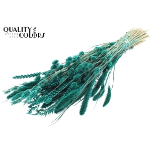 Dried Flower mix bunch Turquoise