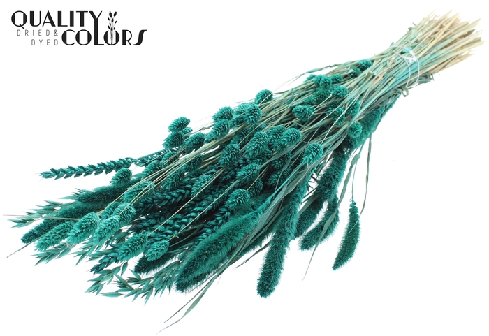 <h4>Dried Flower mix bunch Turquoise</h4>